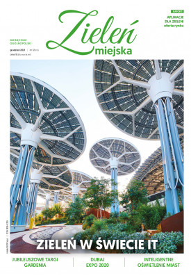 Zieleń Miejska 12/2021