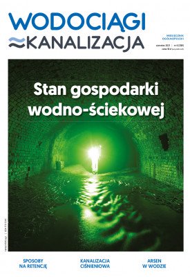 e-wydanie...