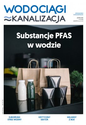 e-wydanie...