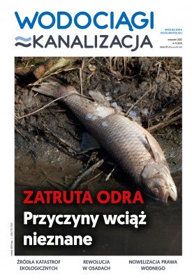 e-wydanie...