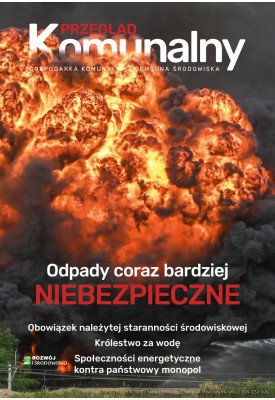e-wydanie Przegląd...