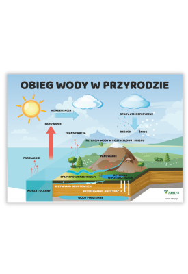 Tablica edukacyjna "Obieg...